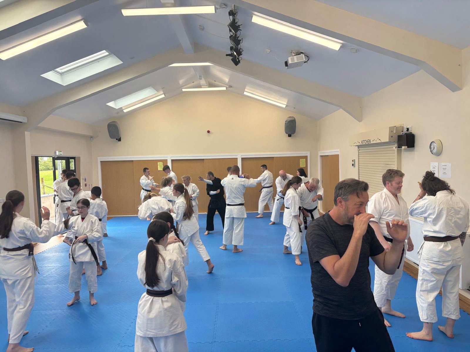 1763047656-752646255-karate